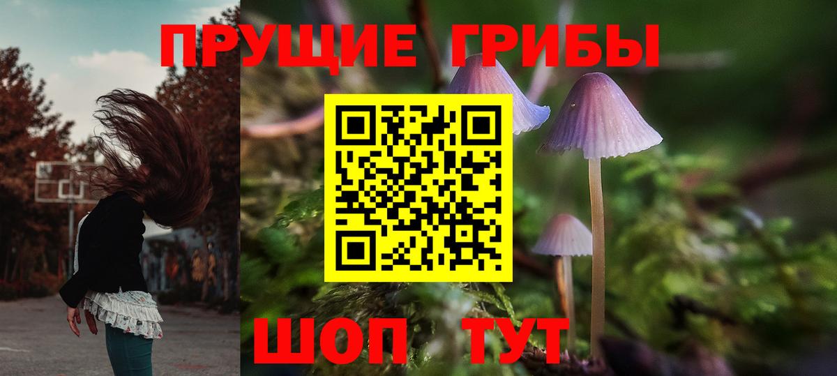 Холмск  Псилоцибиновые грибы Cubensis  Галлюциногенные грибы Psilocybe  Вход с VPN 
