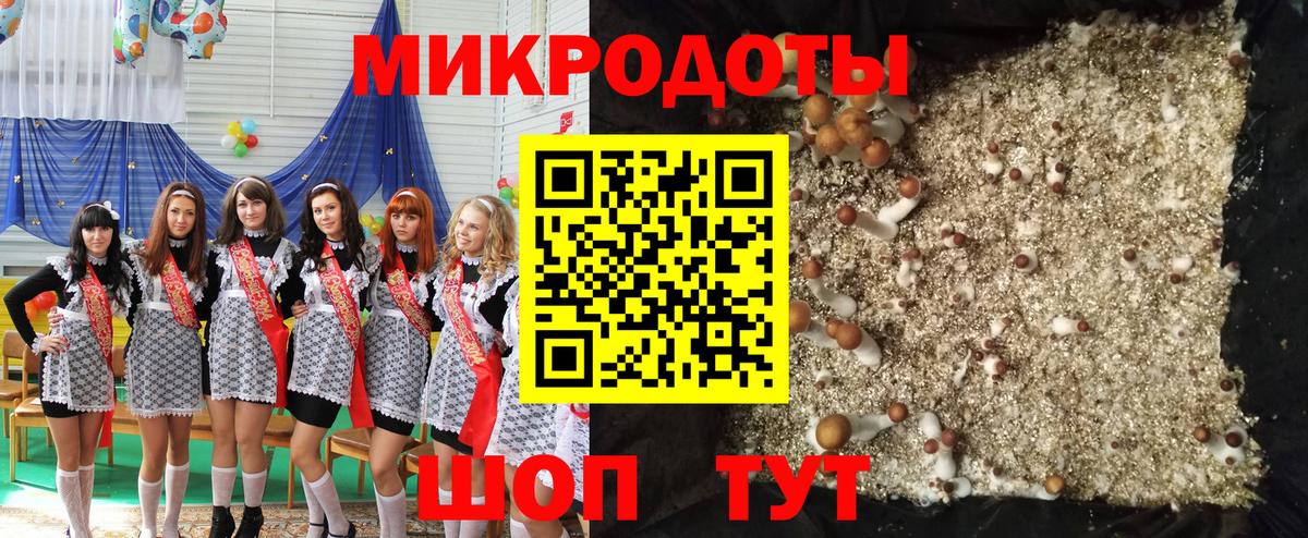Псилоцибиновые грибы GOLDEN TEACHER Холмск